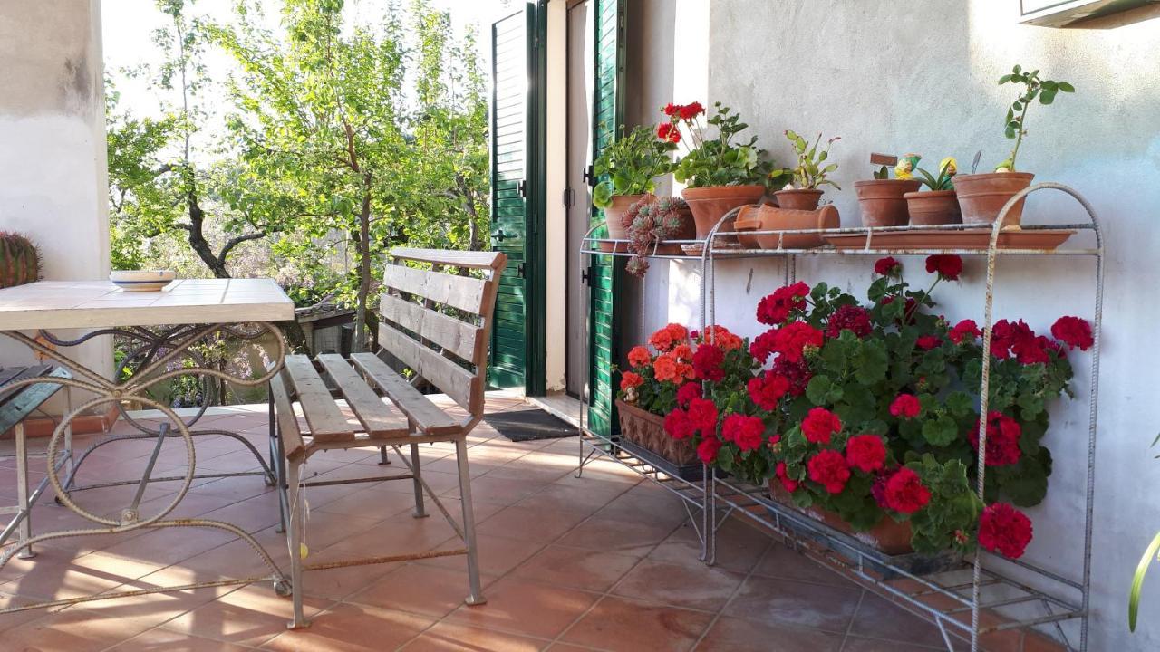 Casa Di Giulia Apartment Santa Luce Luaran gambar