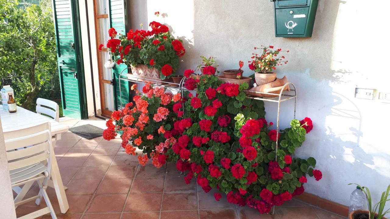 Casa Di Giulia Apartment Santa Luce Luaran gambar